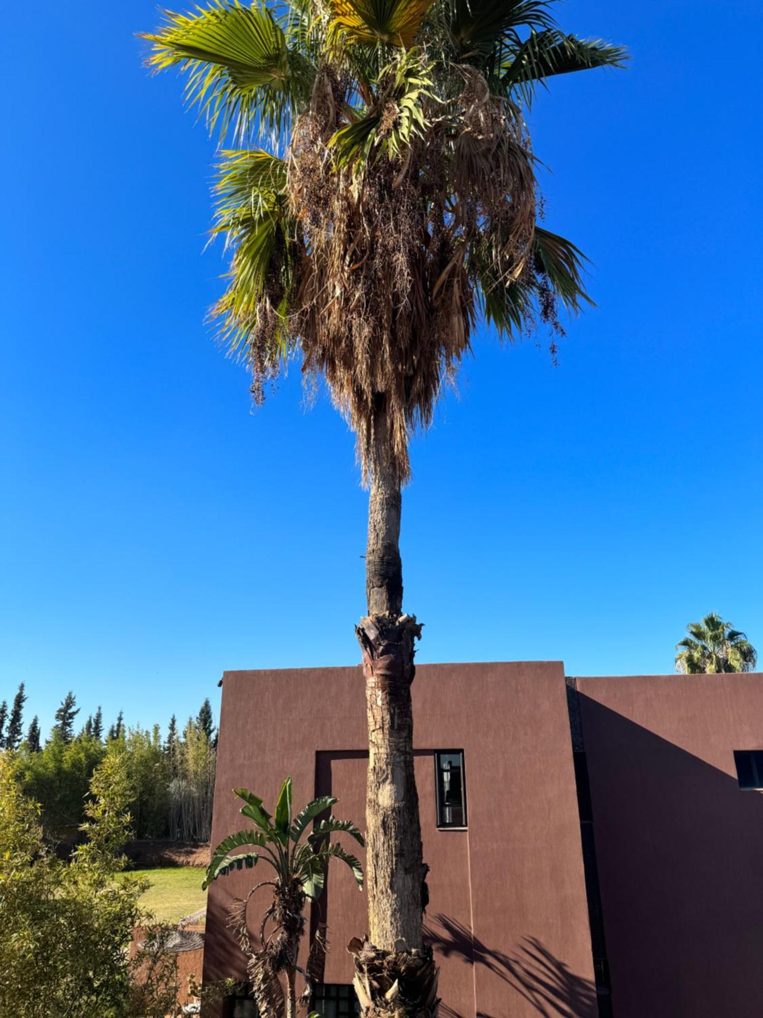 Fellah Hotel Aït Hamid Extérieur photo